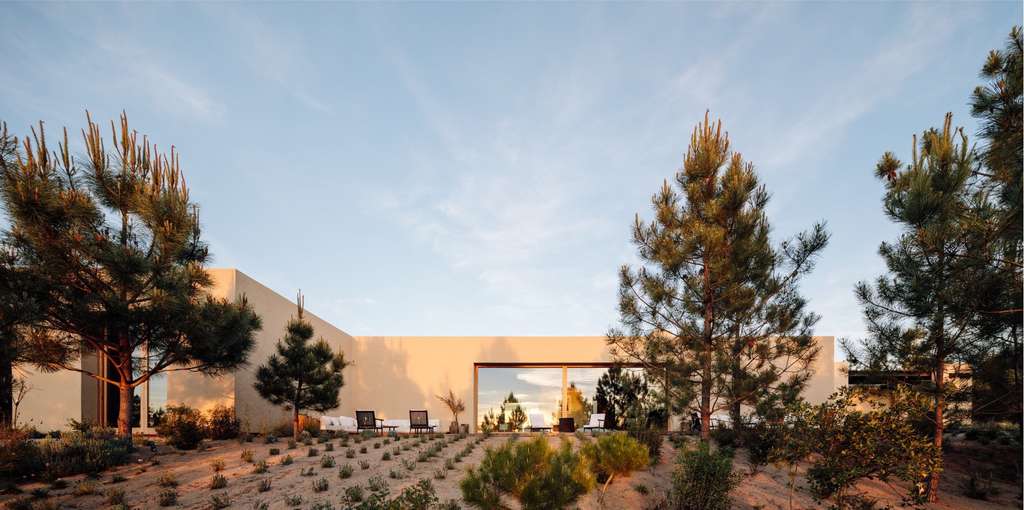 Low sand-colored house with a large glass opening among pine trees at sunset